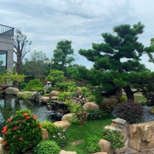 Thi công sân vườn